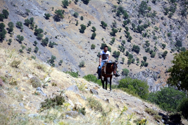 Fotoğraf: TRT Haber